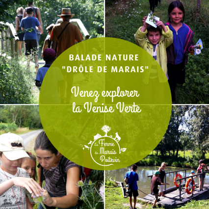 Balade nature-La Ferme du Marais Poitevin.png