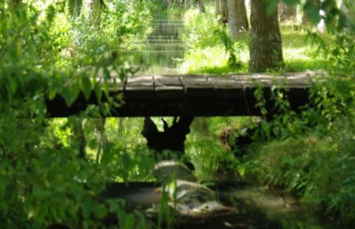 Les monstres légendaires du Marais Poitevin