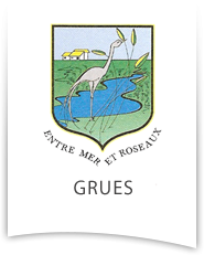 Grues